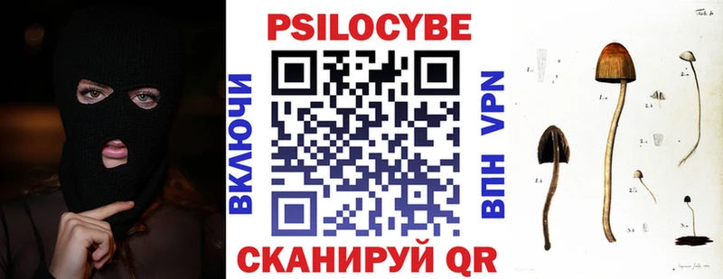 гидра вход  Нижний Новгород  Галлюциногенные грибы Psilocybe 